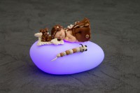 /album/galerie-de-photos-galerie-photos/galet-fille-marron-violet-jpg/